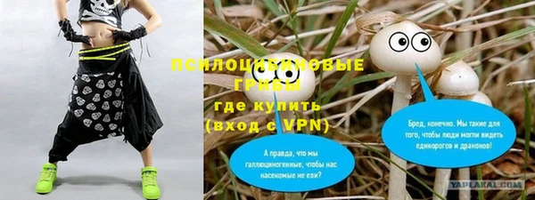 apvp Балабаново