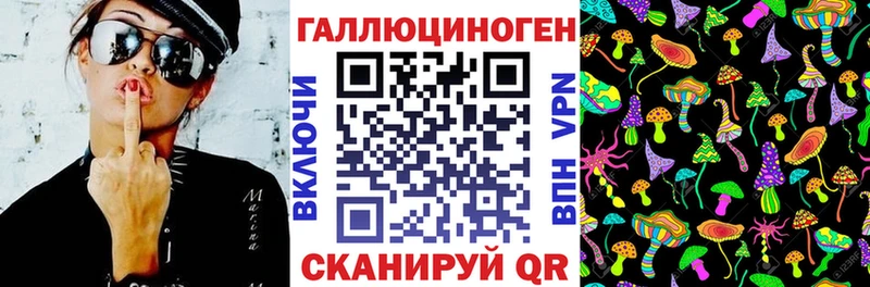 Галлюциногенные грибы Psilocybine cubensis  Светлогорск 