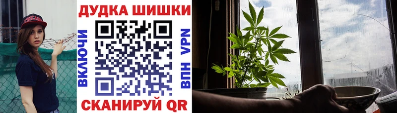 darknet наркотические препараты  Светлогорск  Конопля сатива 